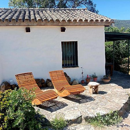 Complejo Rural Del Molino Dorado Villa Facinas Exterior photo